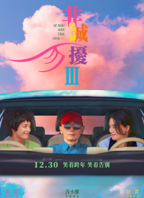 酒店服务生满天星法版免费观看